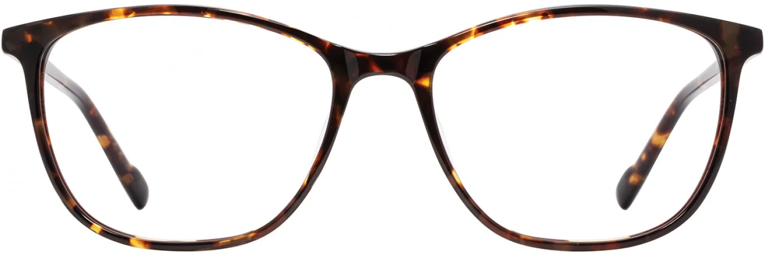 Scott Harris SH968 Eyeglasses - view 3